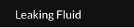 Leaking Fluid
